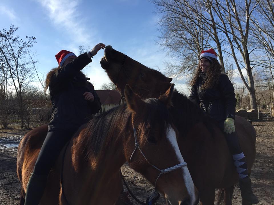 Ezek még a délelőtt nyugis percei :D